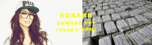 сатива Навашино