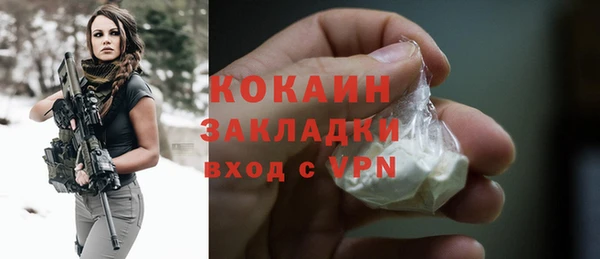 шишки Бородино