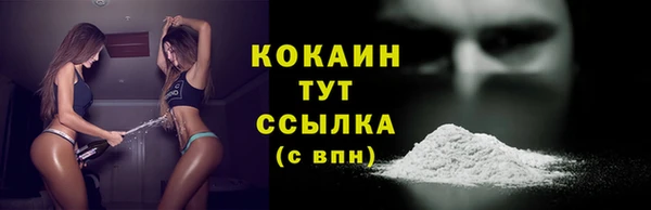шишки Бородино