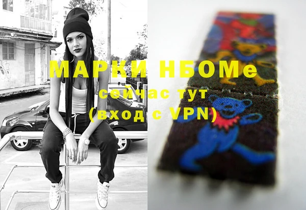 индика Бугульма