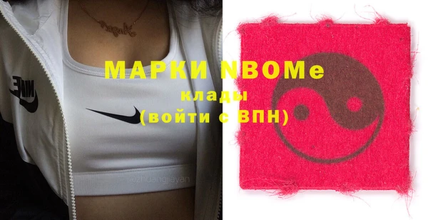 индика Бугульма