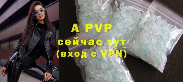 шишки Бородино