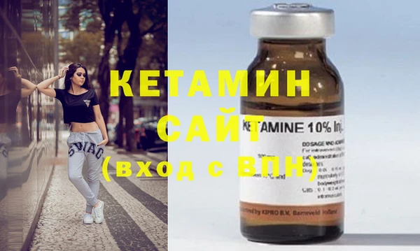 шишки Бородино