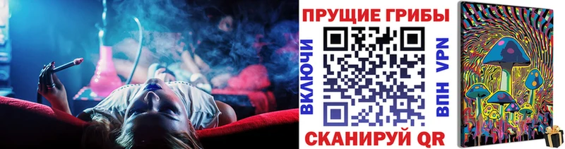 Купить  Лабытнанги  Псилоцибиновые грибы Cubensis 